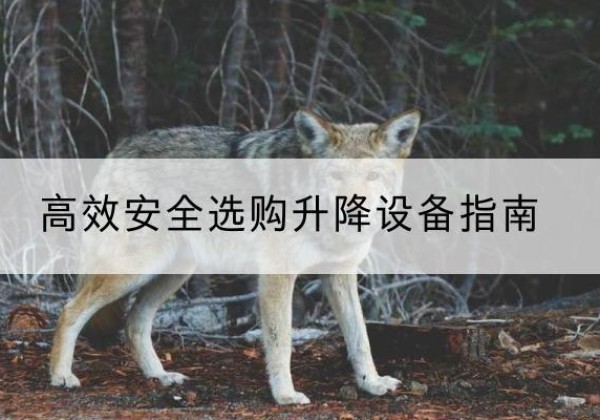 江津区升降货梯厂家推荐-*安全选购升降设备指南