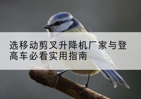 江津区电动升降机厂家-选移动剪叉升降机厂家与登高车必看实用指南