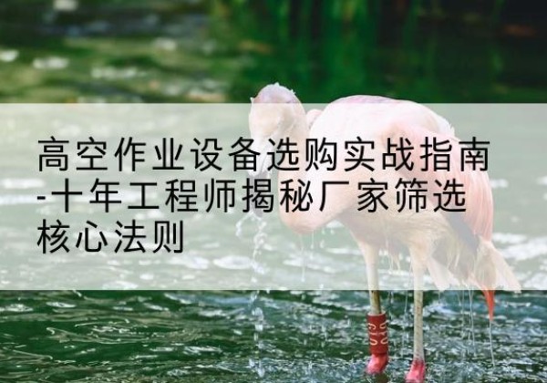 江津区剪叉式升降机厂家-高空作业设备选购实战指南-十年工程师揭秘厂家筛选核心法则